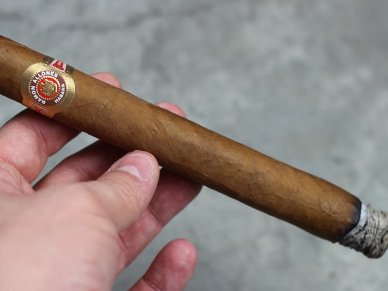 Đánh giá hương vị của xì gà Ramon Allones Gigantes